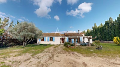 /international/fr/blomac-languedoc-roussillon-310106741735/