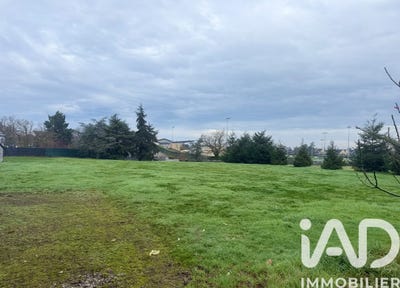 /international/fr/ancenis-pays-de-la-loire-310105429591/