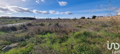 /international/fr/bize-minervois-languedoc-roussillon-310106571212/