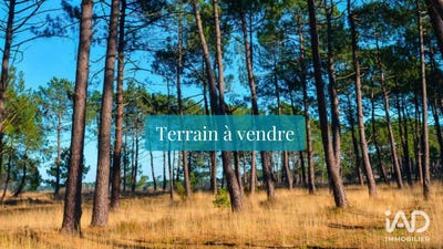 /international/fr/tosse-aquitaine-310109043192/