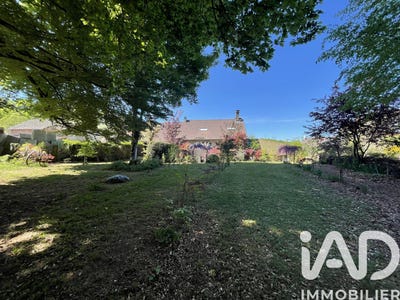 /international/fr/nedde-limousin-310104247307/