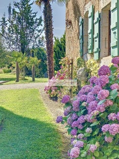 /international/fr/castera-verduzan-midi-pyrenees-310108248404/