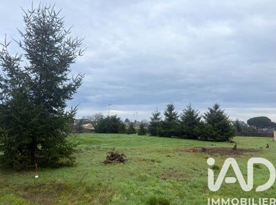 /international/fr/ancenis-pays-de-la-loire-310105430395/