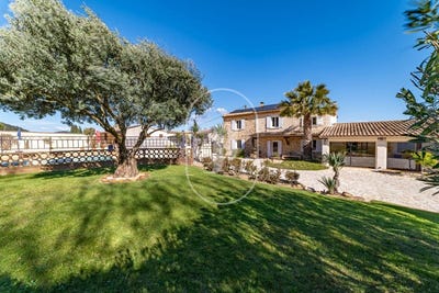 /international/fr/connaux-languedoc-roussillon-310107070583/