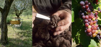 /international/fr/rochegude-rhone-310108732657/?lang=de