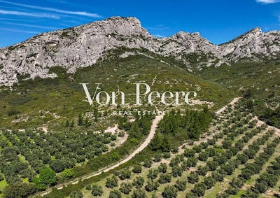 /international/fr/saint-remy-de-provence-provence-alpes-cote-d-azur-310100790351/