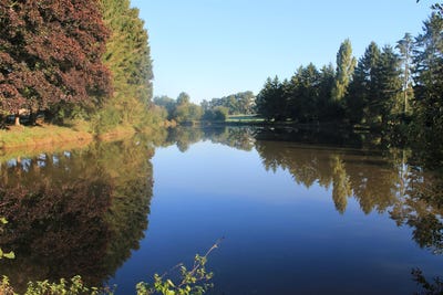 /international/fr/charchigne-pays-de-la-loire-310110359450/
