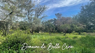 /international/fr/villeneuve-les-avignon-languedoc-roussillon-310107256530/