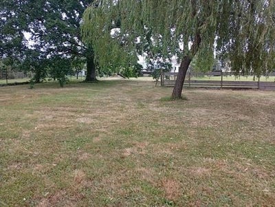 /international/fr/bellerive-sur-allier-auvergne-310108648656/