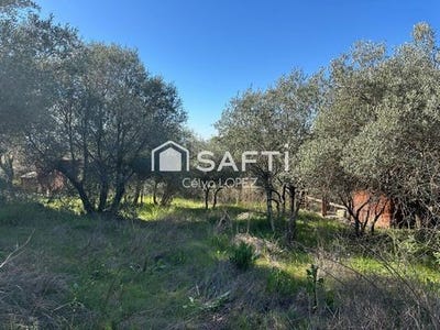 /international/fr/pignan-languedoc-roussillon-310106547594/