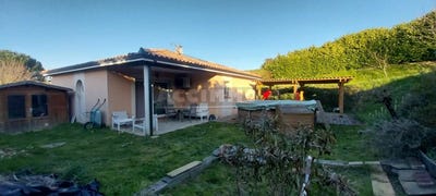 /international/fr/caraman-midi-pyrenees-310106667843/