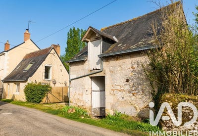 /international/fr/artannes-sur-indre-centre-val-de-loire-310106388719/