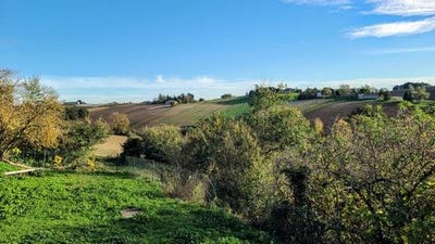 /international/fr/saint-vincent-lespinasse-midi-pyrenees-310106488942/
