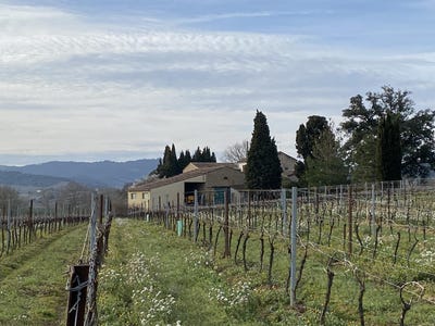 /international/fr/ajac-languedoc-roussillon-310099552558/