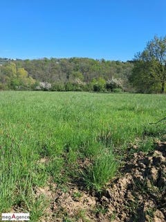 /international/fr/cusset-auvergne-310107863142/