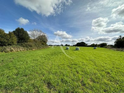 /international/fr/mayenne-pays-de-la-loire-310104471494/