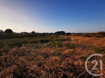 /international/fr/quiberon-brittany-120088712038/