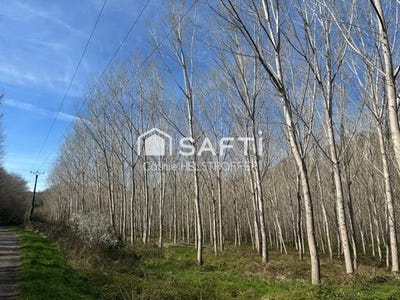/international/fr/villefranche-du-perigord-aquitaine-310105102488/