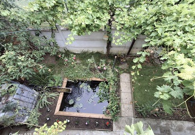 /international/fr/l-isle-jourdain-charente-310109015481/?lang=th