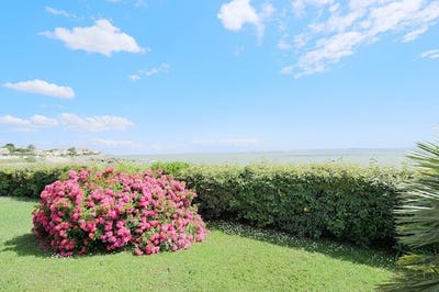 /international/fr/vaux-sur-mer-charente-310100003610/