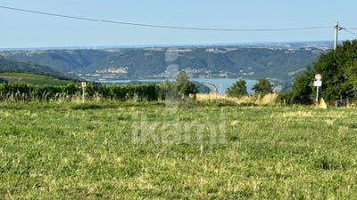 /international/fr/vion-pays-de-la-loire-120096228791/