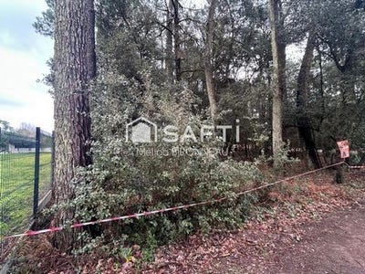 /international/fr/jard-sur-mer-pays-de-la-loire-310105006998/