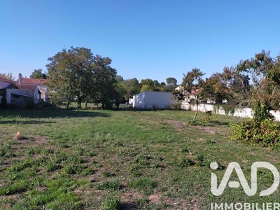 /international/fr/bouille-courdault-pays-de-la-loire-310104167195/