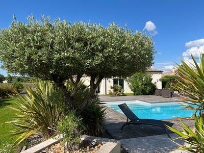 /international/fr/saint-magne-de-castillon-aquitaine-310099611124/