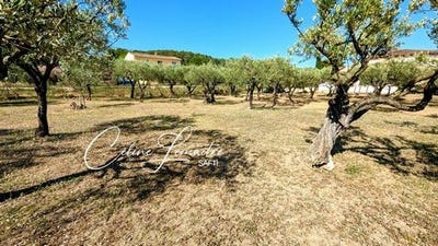 /international/fr/lorgues-provence-alpes-cote-d-azur-310100860704/