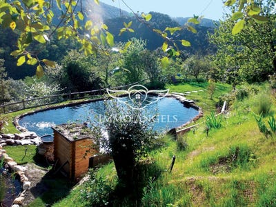 /international/fr/soustelle-languedoc-roussillon-310108278274/