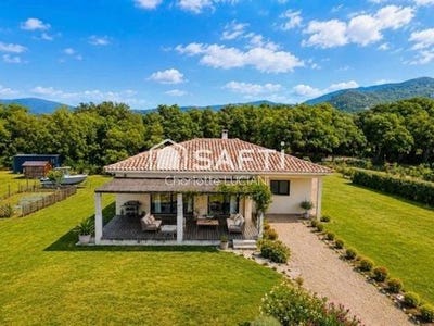 /international/fr/sartene-corsica-310109421729/