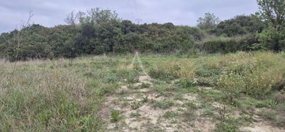 /international/fr/gigean-languedoc-roussillon-310104464795/
