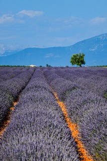 /international/fr/l-isle-sur-la-sorgue-provence-alpes-cote-d-azur-310103538259/