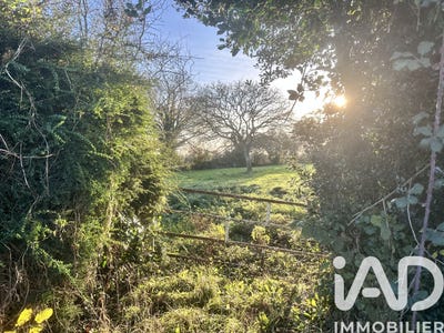 /international/fr/picauville-upper-normandy-310108455598/