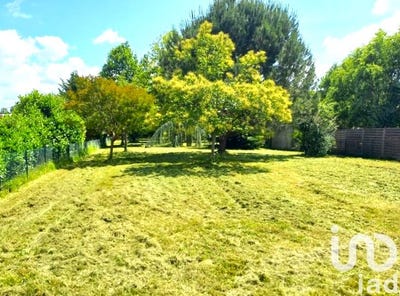 /international/fr/brax-midi-pyrenees-310104171750/