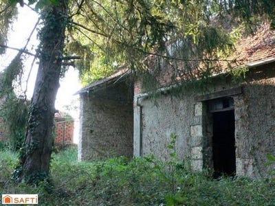 /international/fr/beaune-la-rolande-centre-val-de-loire-310108289201/