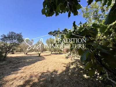 /international/fr/paradou-provence-alpes-cote-d-azur-310099619414/