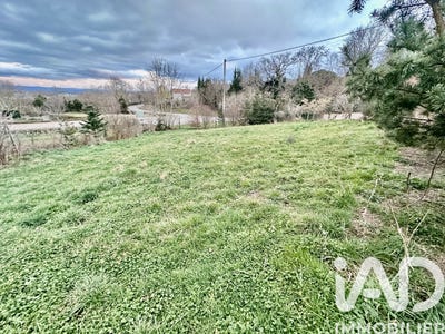/international/fr/montbrison-rhone-310106164886/
