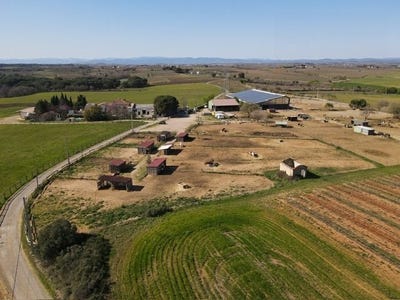 /international/fr/servian-languedoc-roussillon-310108264941/