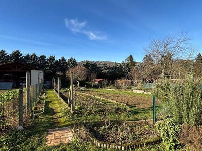 /international/fr/route-du-lac-saint-point-burgundy-310104631355/