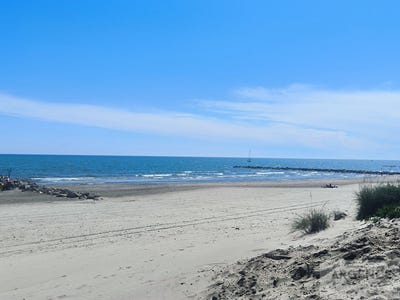 /international/fr/mauguio-languedoc-roussillon-310107599401/