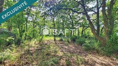 /international/fr/montesquieu-des-alberes-languedoc-roussillon-310108327548/