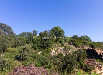 /international/fr/tavaco-corsica-310100361475/?lang=en