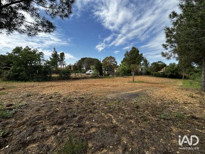 /international/fr/montesquieu-des-alberes-languedoc-roussillon-310107577437/