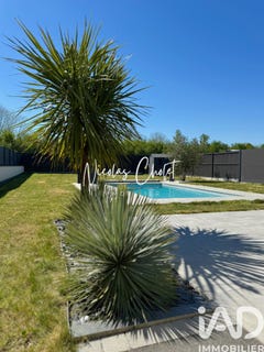 /international/fr/le-lion-d-angers-pays-de-la-loire-310107215138/