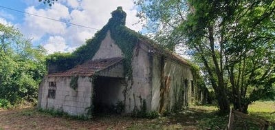/international/fr/st-vallier-burgundy-310099626497/