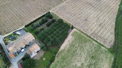 /international/fr/laure-minervois-languedoc-roussillon-310098696345/