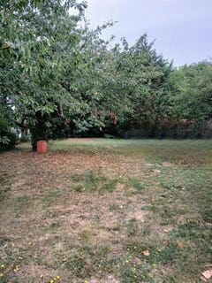 /international/fr/brax-midi-pyrenees-310100362744/
