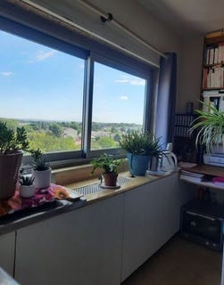 /international/fr/gradignan-aquitaine-310108941752/