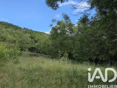 /international/fr/lunas-languedoc-roussillon-310108035507/